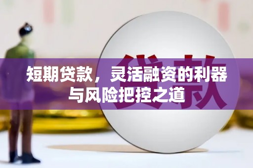 万峦短期贷款，灵活融资的利器与风险把控之道