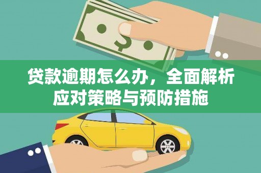 万峦贷款逾期怎么办，全面解析应对策略与预防措施
