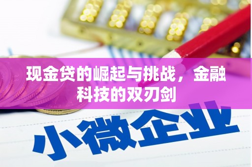 万峦现金贷的崛起与挑战，金融科技的双刃剑