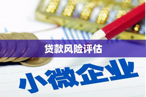 万峦贷款风险评估