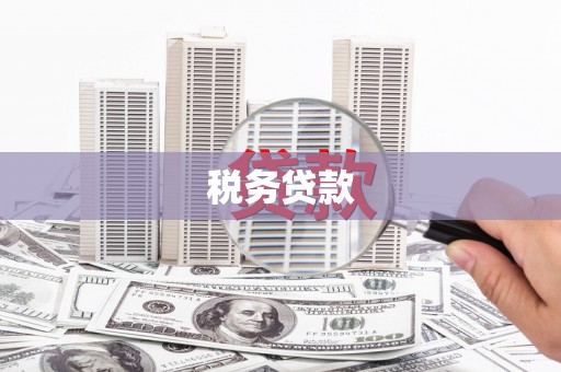万峦税务贷款