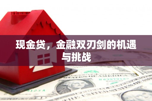 万峦现金贷，金融双刃剑的机遇与挑战