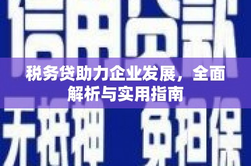 万峦税务贷助力企业发展，全面解析与实用指南