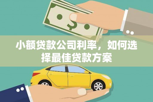 万峦小额贷款公司利率，如何选择最佳贷款方案