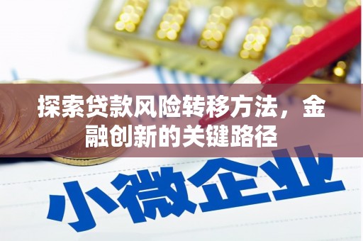 万峦探索贷款风险转移方法，金融创新的关键路径