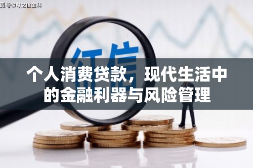万峦个人消费贷款，现代生活中的金融利器与风险管理