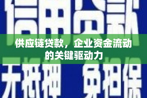 万峦供应链贷款，企业资金流动的关键驱动力