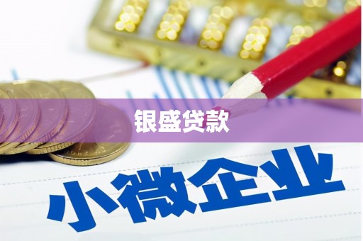 万峦银盛贷款