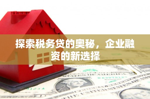 万峦探索税务贷的奥秘，企业融资的新选择