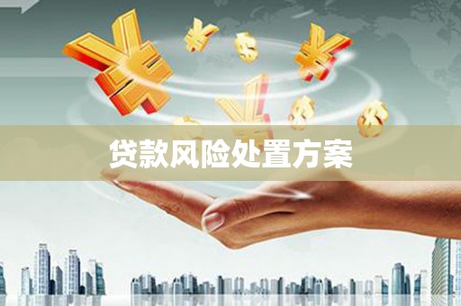 万峦贷款风险处置方案