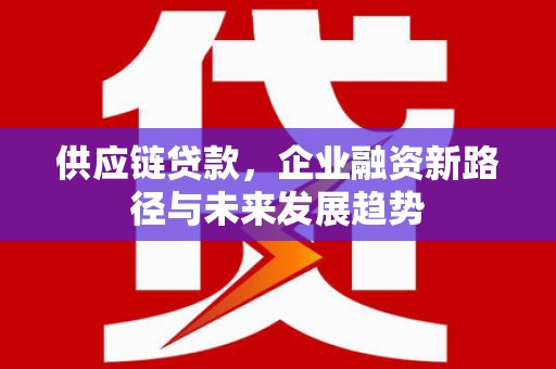 万峦供应链贷款，企业融资新路径与未来发展趋势