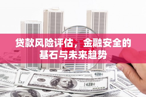 万峦贷款风险评估，金融安全的基石与未来趋势