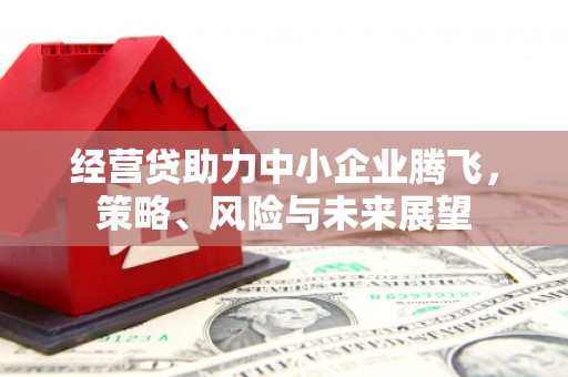 万峦经营贷助力中小企业腾飞，策略、风险与未来展望