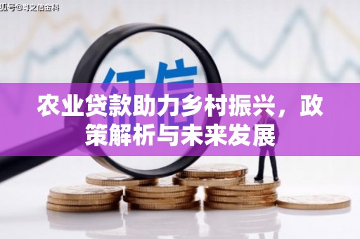 万峦农业贷款助力乡村振兴，政策解析与未来发展