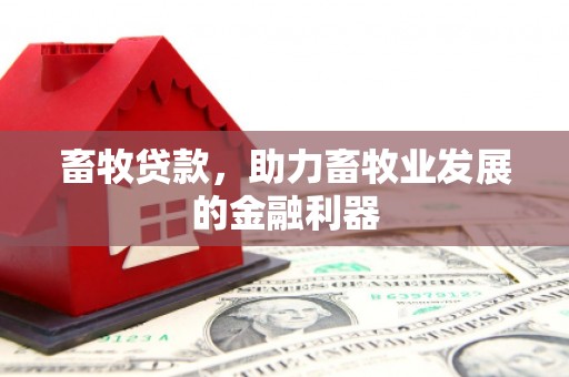 万峦畜牧贷款，助力畜牧业发展的金融利器