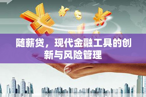 万峦随薪贷，现代金融工具的创新与风险管理