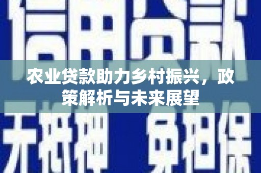 万峦农业贷款助力乡村振兴，政策解析与未来展望