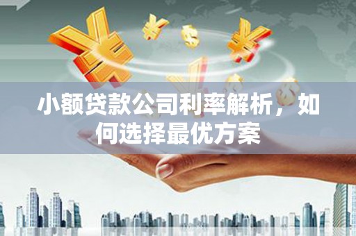 万峦小额贷款公司利率解析，如何选择最优方案
