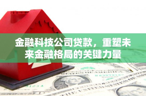万峦金融科技公司贷款，重塑未来金融格局的关键力量