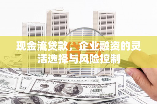 万峦现金流贷款，企业融资的灵活选择与风险控制
