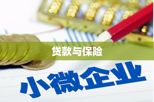 万峦贷款与保险