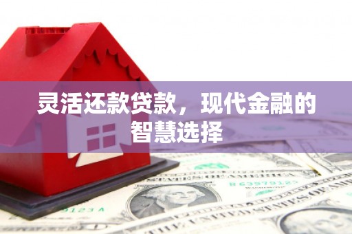 万峦灵活还款贷款，现代金融的智慧选择