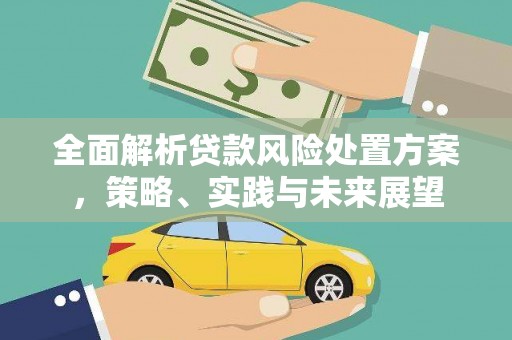 万峦全面解析贷款风险处置方案，策略、实践与未来展望
