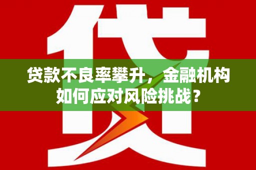 万峦贷款不良率攀升，金融机构如何应对风险挑战？