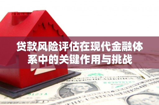 万峦贷款风险评估在现代金融体系中的关键作用与挑战