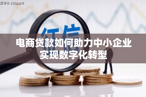 万峦电商贷款如何助力中小企业实现数字化转型