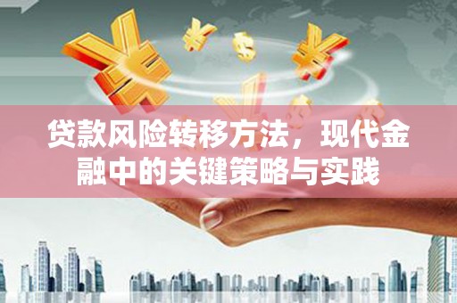 万峦贷款风险转移方法，现代金融中的关键策略与实践