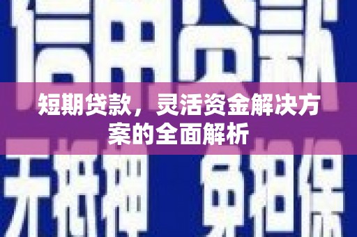万峦短期贷款，灵活资金解决方案的全面解析