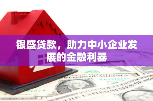 万峦银盛贷款，助力中小企业发展的金融利器