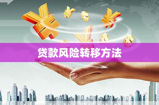 万峦贷款风险转移方法 万峦贷款风险转移方法