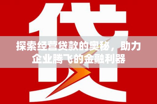 万峦探索经营贷款的奥秘，助力企业腾飞的金融利器