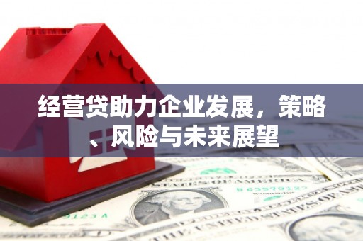 万峦经营贷助力企业发展，策略、风险与未来展望