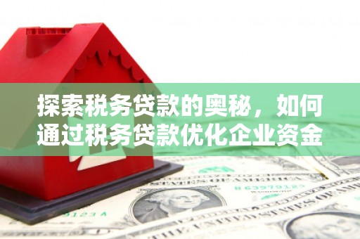 万峦探索税务贷款的奥秘，如何通过税务贷款优化企业资金流