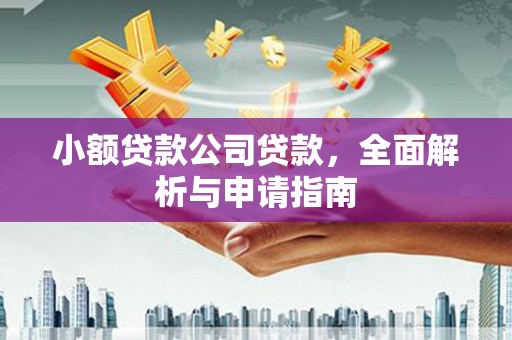 万峦小额贷款公司贷款，全面解析与申请指南