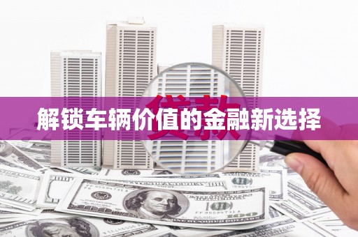 万峦解锁车辆价值的金融新选择