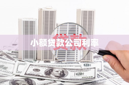 万峦小额贷款公司利率