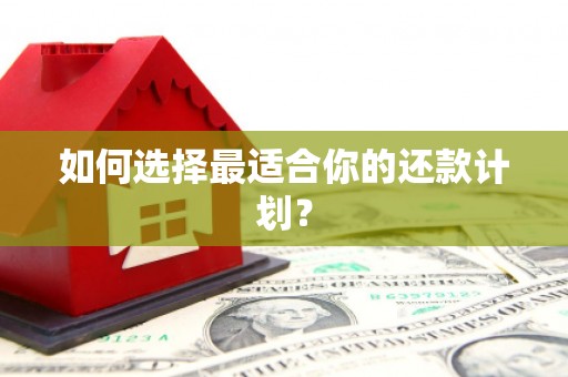 万峦如何选择最适合你的还款计划？