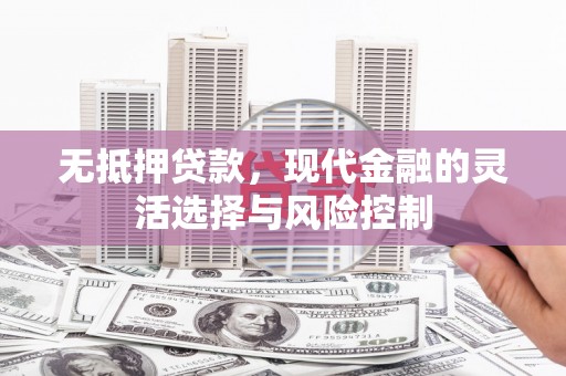 万峦无抵押贷款，现代金融的灵活选择与风险控制