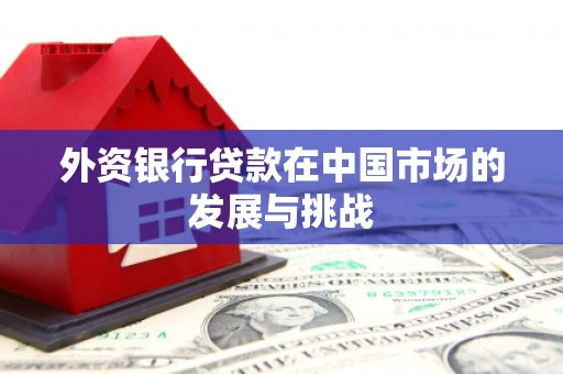 万峦外资银行贷款在中国市场的发展与挑战