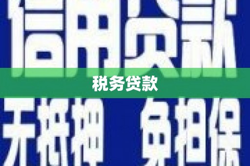 万峦税务贷款
