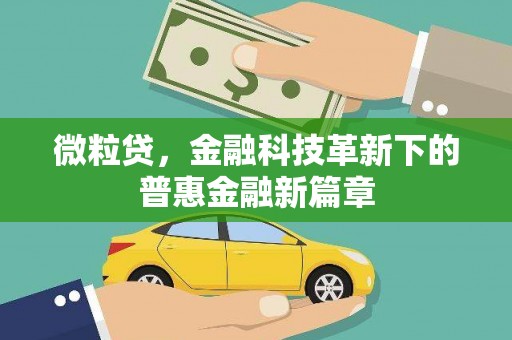 万峦微粒贷，金融科技革新下的普惠金融新篇章