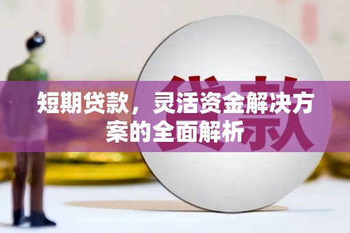 万峦短期贷款，灵活资金解决方案的全面解析
