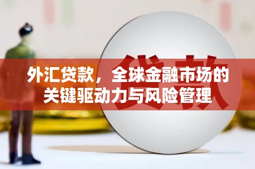 万峦外汇贷款，全球金融市场的关键驱动力与风险管理