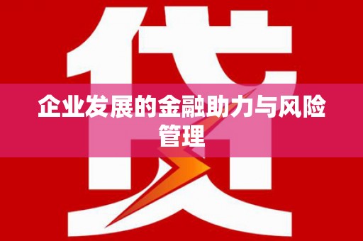 万峦企业发展的金融助力与风险管理