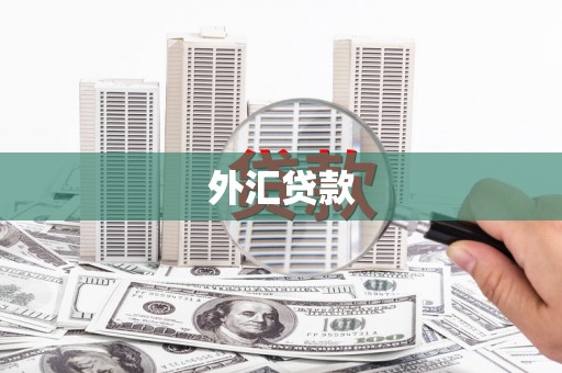 万峦外汇贷款