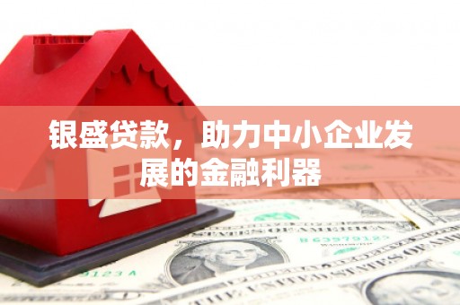 万峦银盛贷款，助力中小企业发展的金融利器